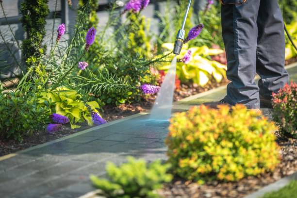 Best Patio and Deck Pressure Washing  in Kentfield, CA